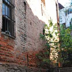 armudnsapiuzum