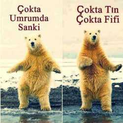 selcen solak