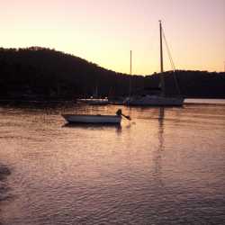dişikartalsinem
