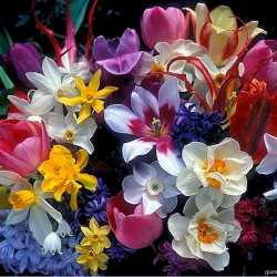 şükriye yeşilırm