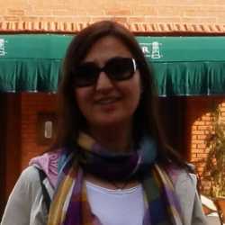 sibel özbey