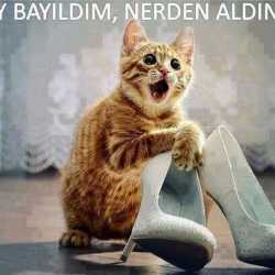 ayşen nur