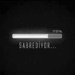 karlarkraliçesi