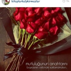 konulkerimli