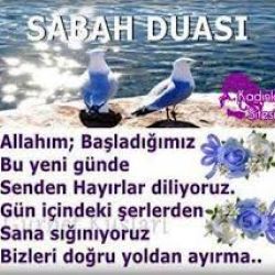 aynur  ibili