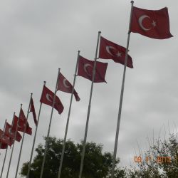 hnes03