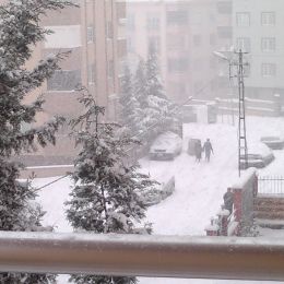 emine akay