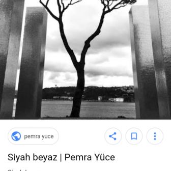 sibel ercan