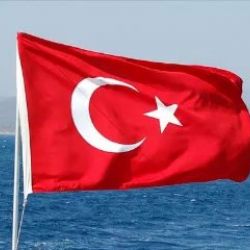 ecege