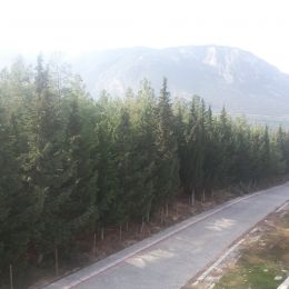 makbul