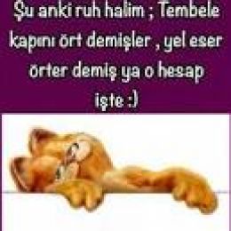 tiji