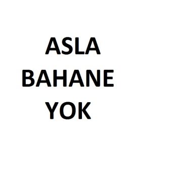 aslabahaneyok1