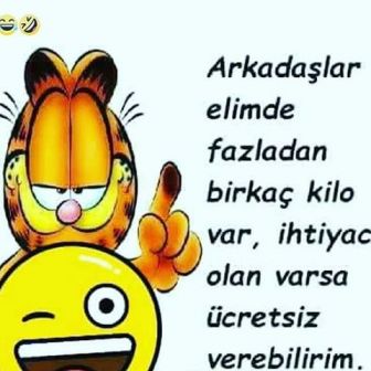 kararlıinsan