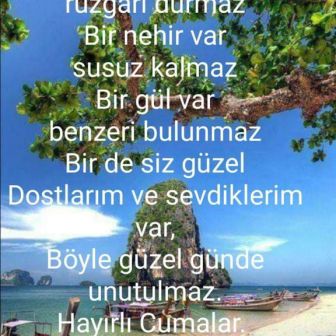 neseakın