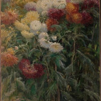 lythrum