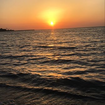 deniz_tutkunu