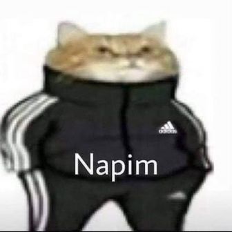 85143